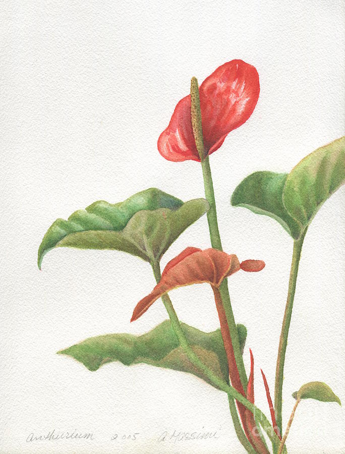Anthurium  Painting by Albert Massimi