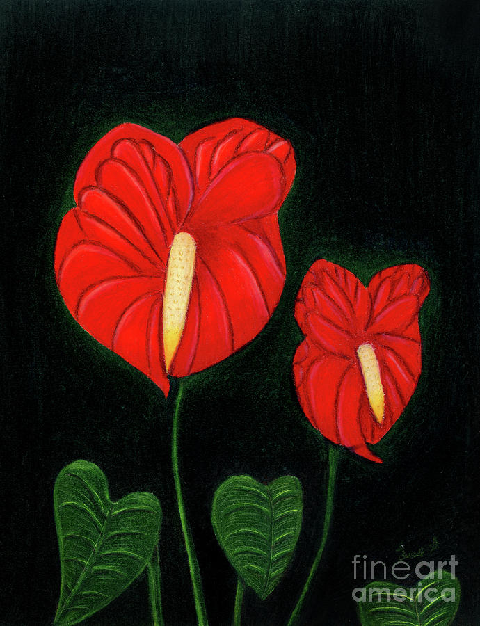 Anthurium Flamingo Flowers Painting by Dorothy Lee