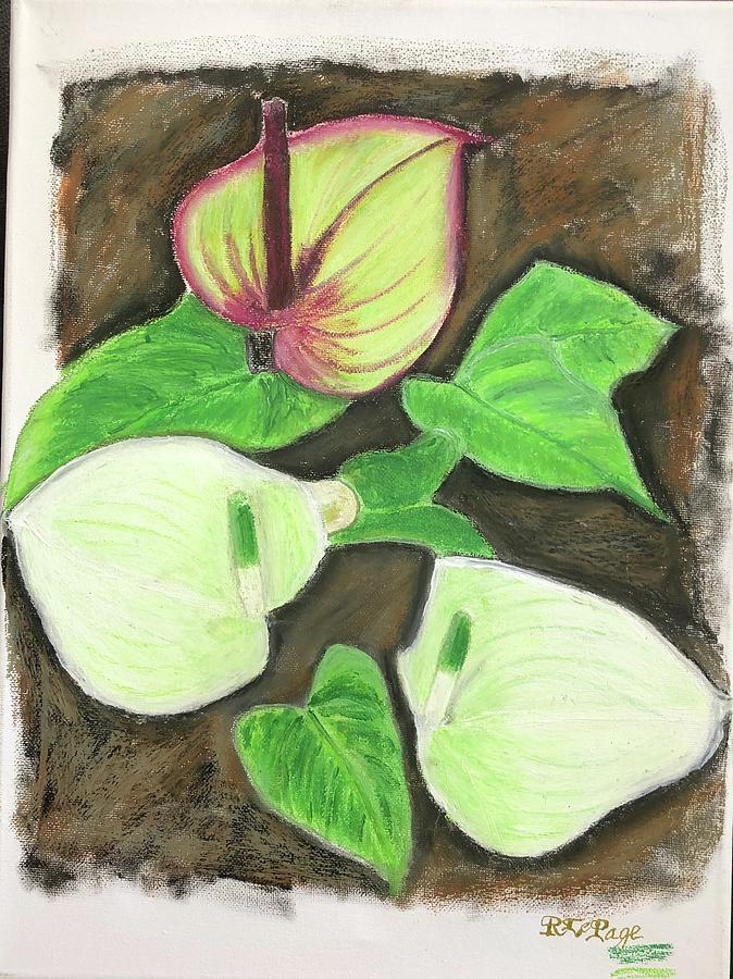 Anthurium lily princess alexia mint Pastel by Richard Le Page