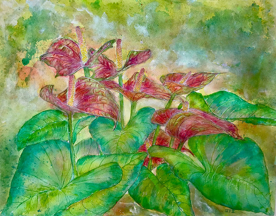 Anthuriums Painting by Janet Immordino
