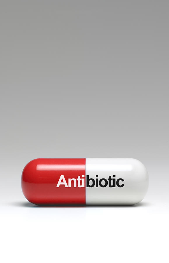 Anti-biotic Photograph by Peter Dazeley