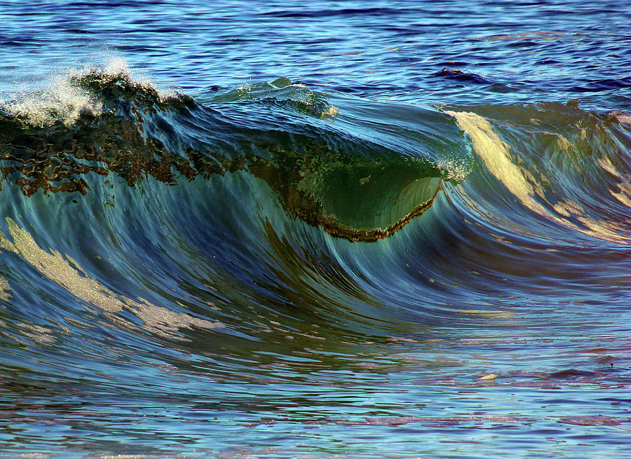 Anticipating Touchdown Photograph by Daniel Politte - Fine Art America