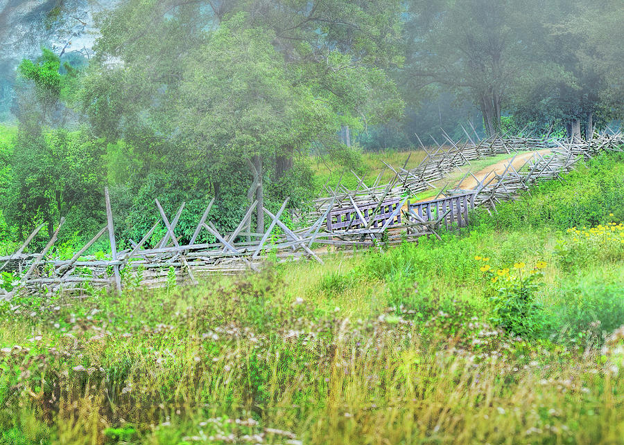 Antietam Battlefield on a Foggy Day Digital Art by Cordia Murphy