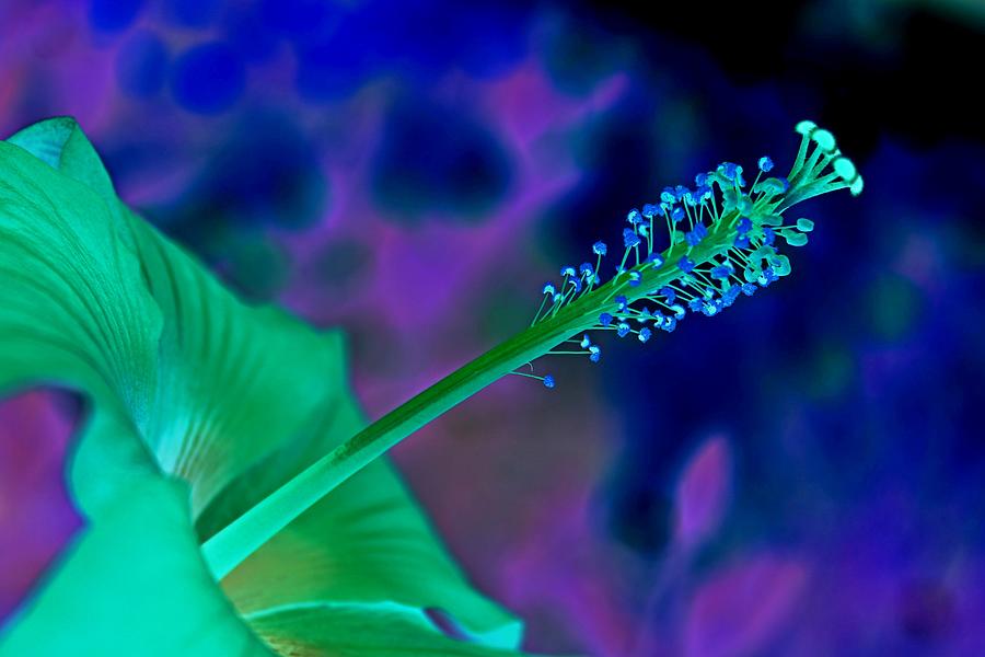 Antimatter Heat Photograph by Abd Alhafez ABBARA Antimatter Heat Photograph by Abd Alhafez ABBARA