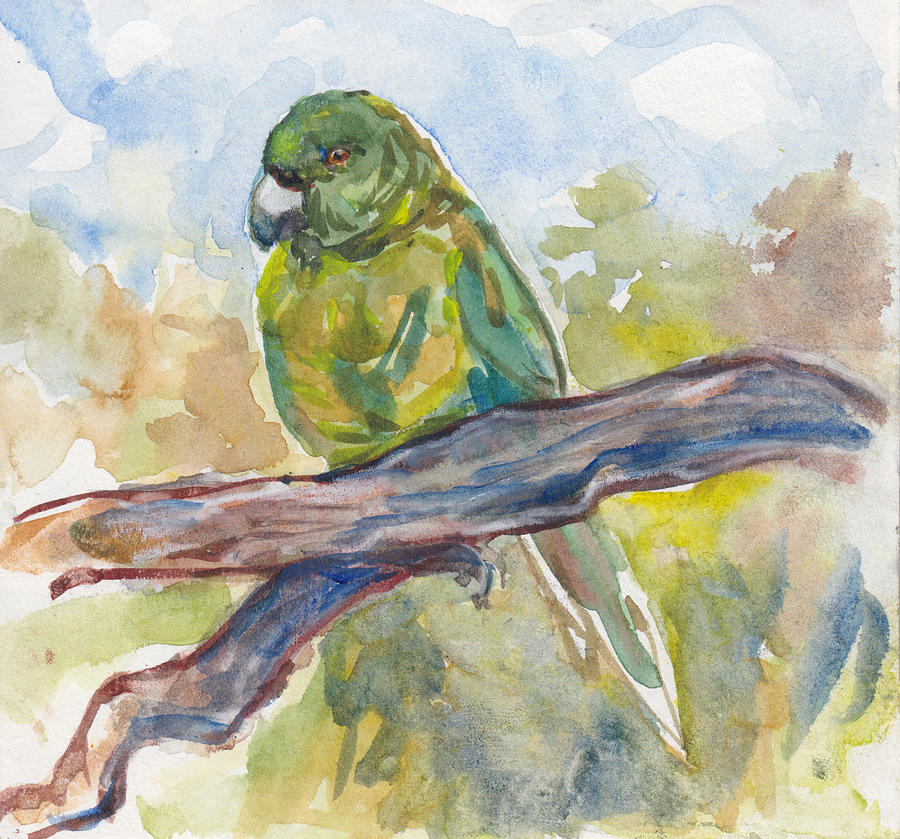 Antipodes Parakeet Painting by Abby McBride