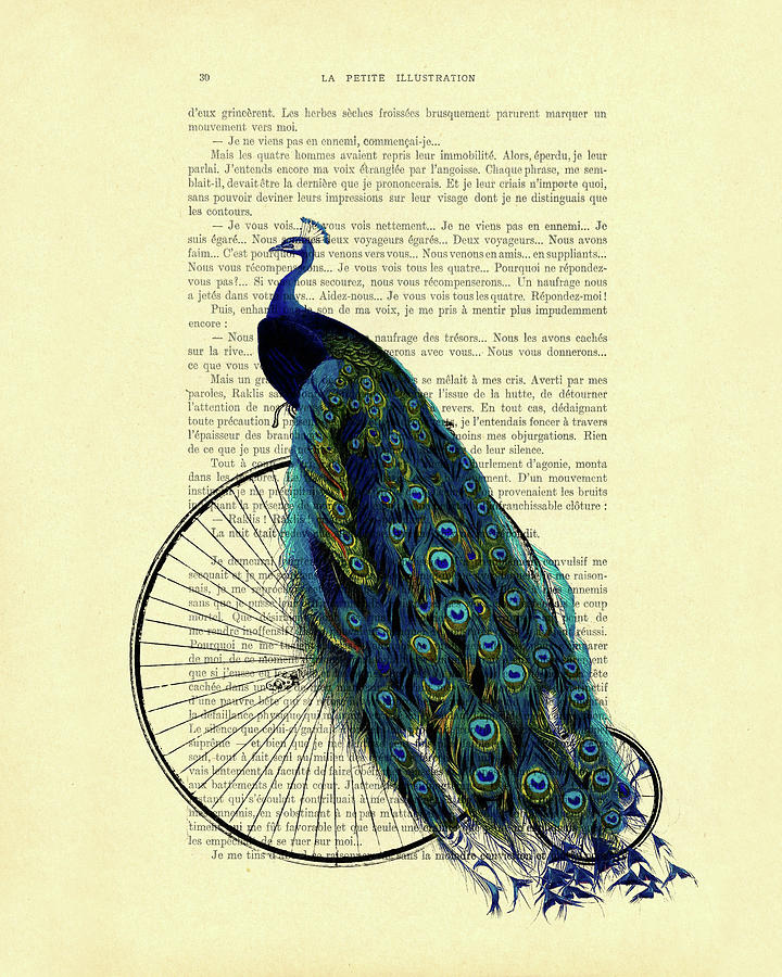 Peacock Mixed Media - Antique bike with peacock  by Madame Memento