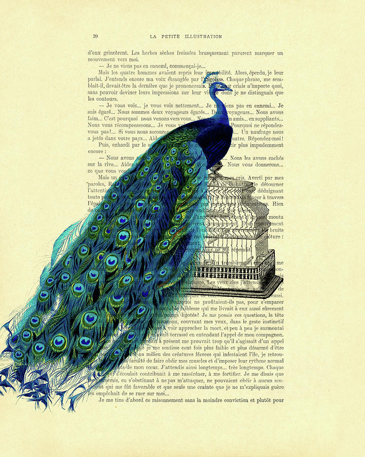 Peacock Digital Art - Antique bird cage peacock art by Madame Memento