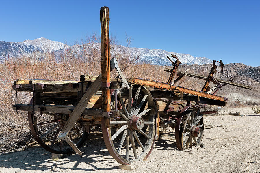 Antique Buckboard Wagon in the California Desert  Photograph by Kathleen Bishop