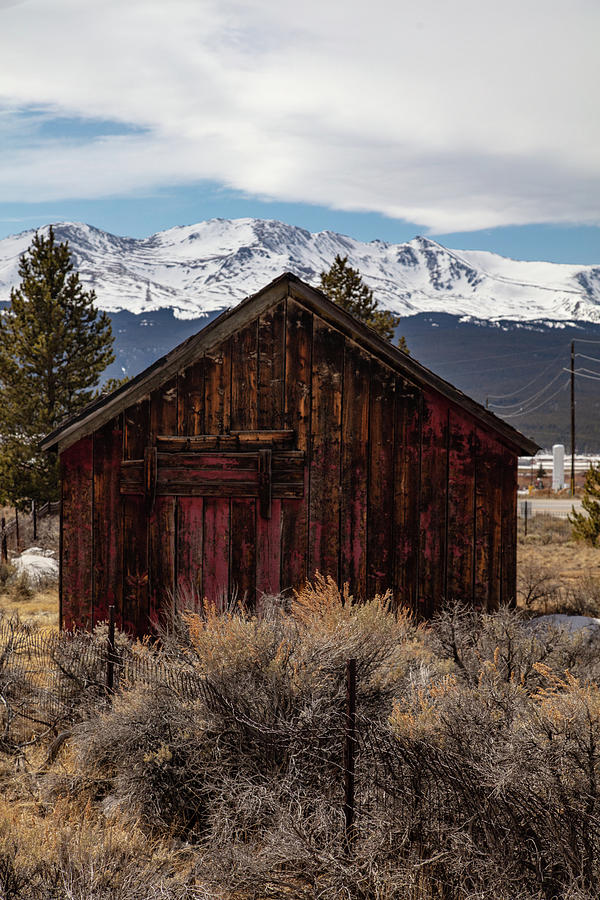 Antique cabin in Leadville Colorado Photograph by Eldon McGraw