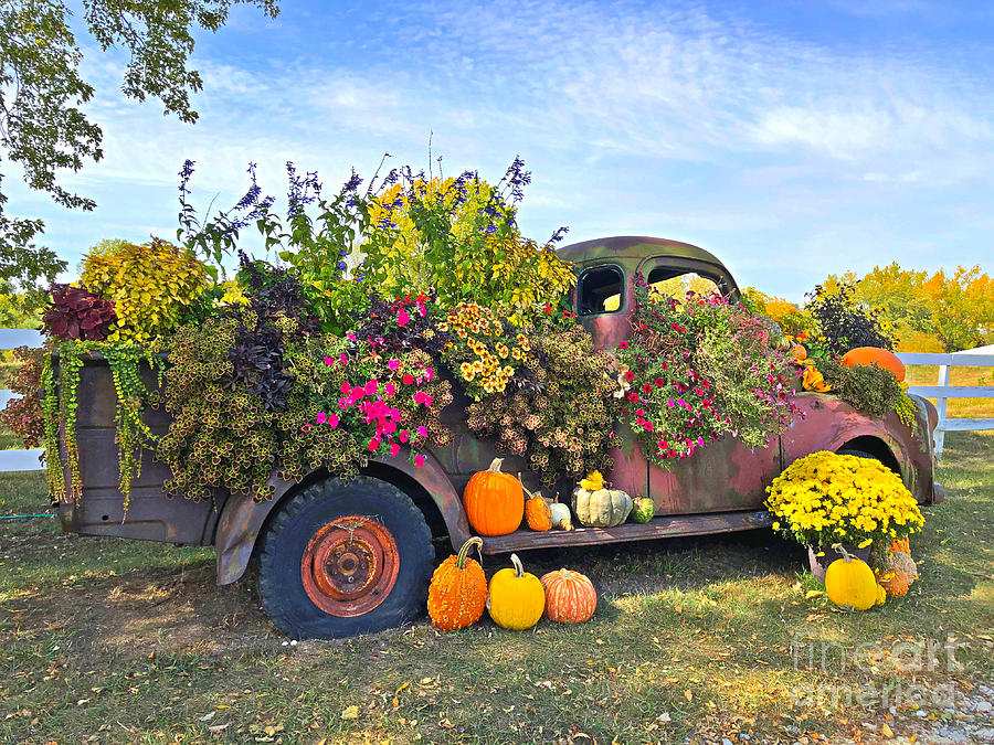 Antique Dodge Truck With Fall Arrangement Photograph by Kathy M Krause