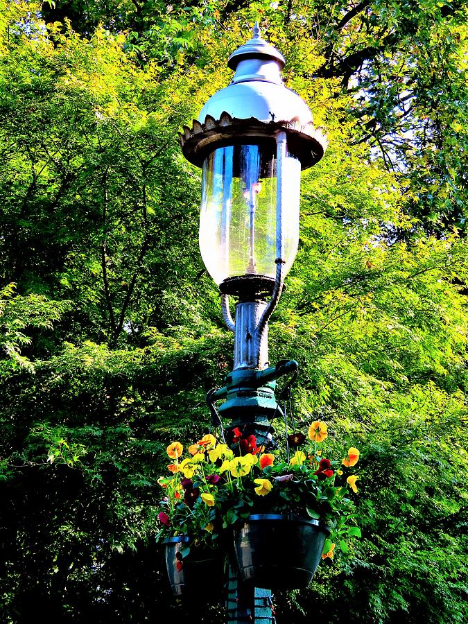 Antique Gas Lamppost With Flowers Photograph by Linda Stern
