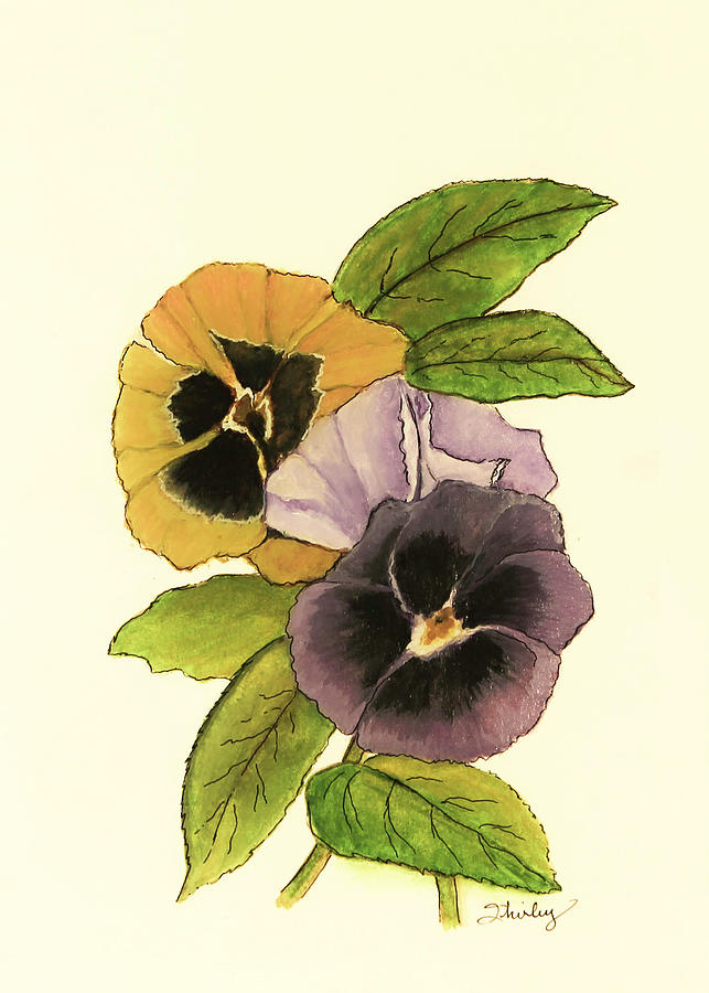 Antique Pansies  Painting by Shirley Dutchkowski