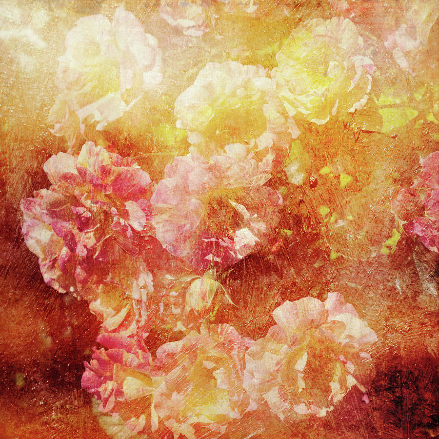 Antique Peach Rose Cascade Digital Art