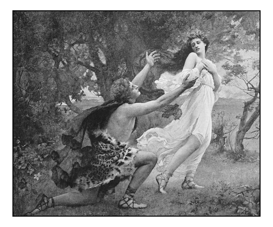 Antique photo of paintings: Apollo and Daphne Drawing by Ilbusca
