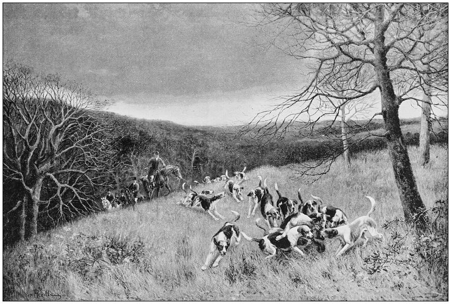Antique photo of paintings: hunting Drawing by Ilbusca