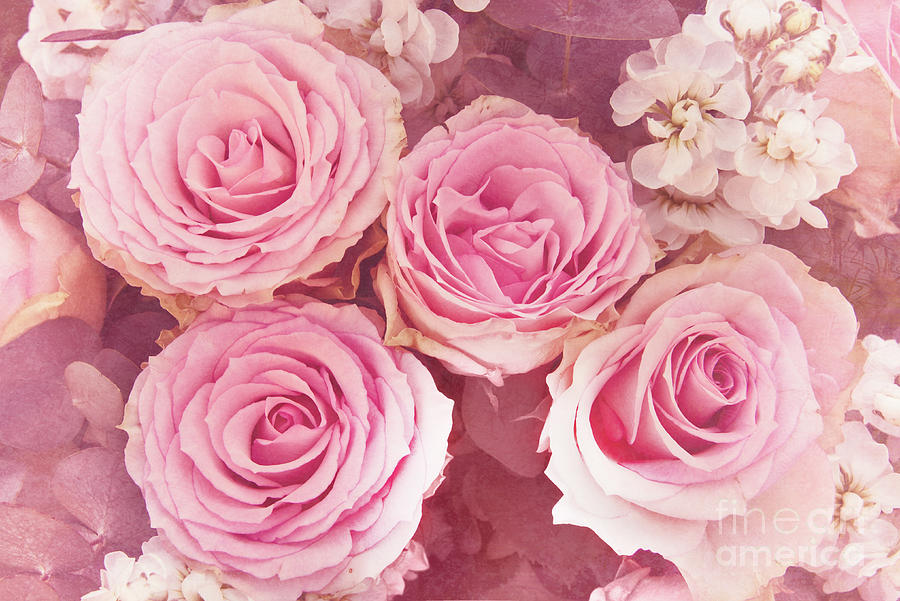 Antique pink roses Photograph by Delphimages Photo Creations