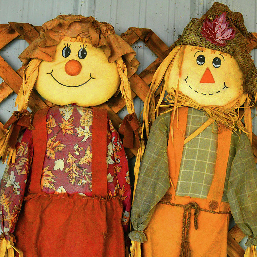 Antique Scarecrows Photograph by Robert Tubesing - Fine Art America