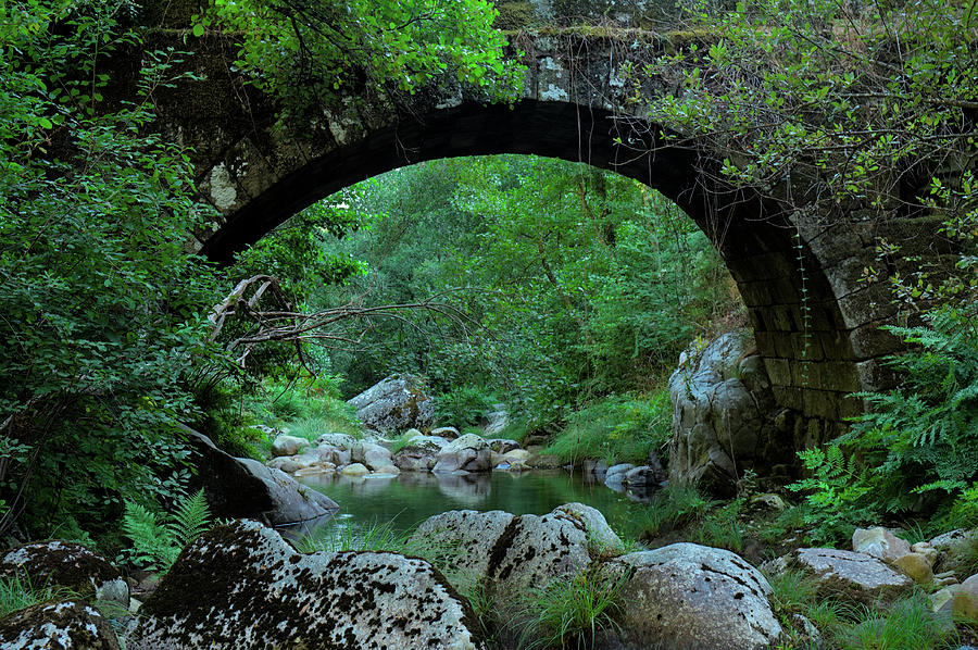 Antique stone bridge in Carvalhais Photograph by Angelo DeVal