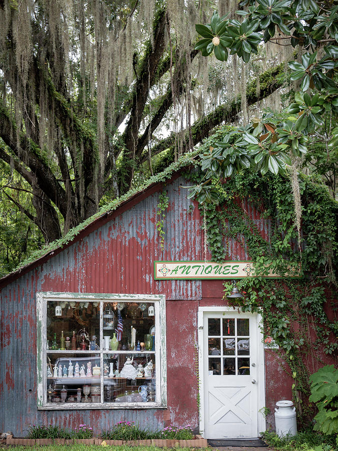Antique Store in Micanopy, Florida Photograph by Dawna Moore Photography