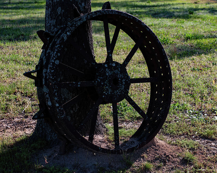 Antique Tractor Wheel Photograph by Flees Photos
