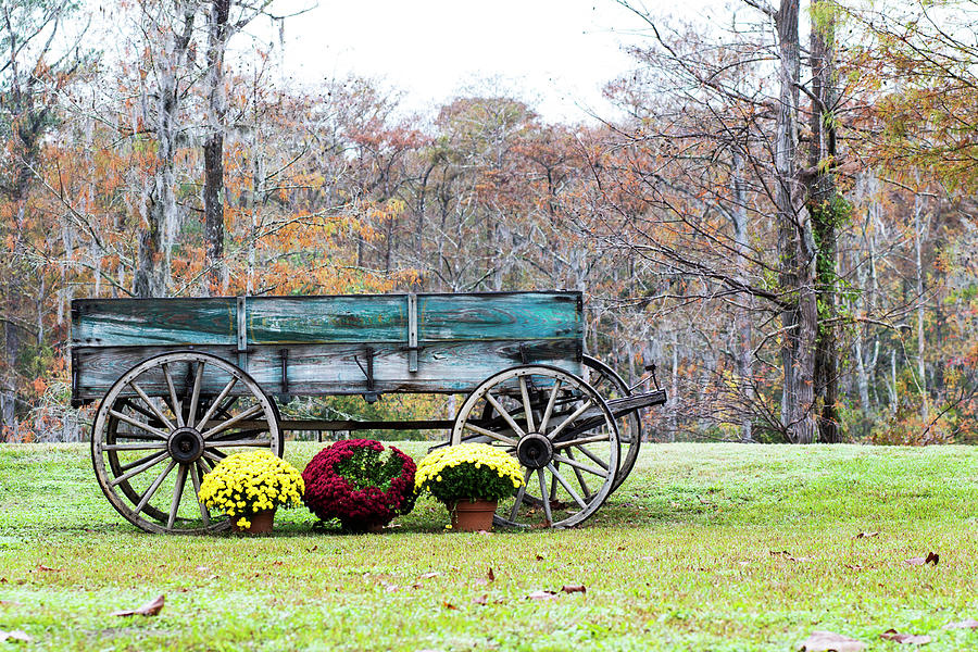 Antique Wooden Wagon at Trenton North Carolina Photograph by Bob Decker