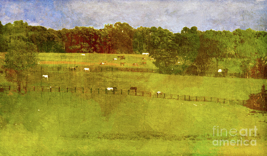 Antiqued Country Scene Photograph by Eleanor Abramson