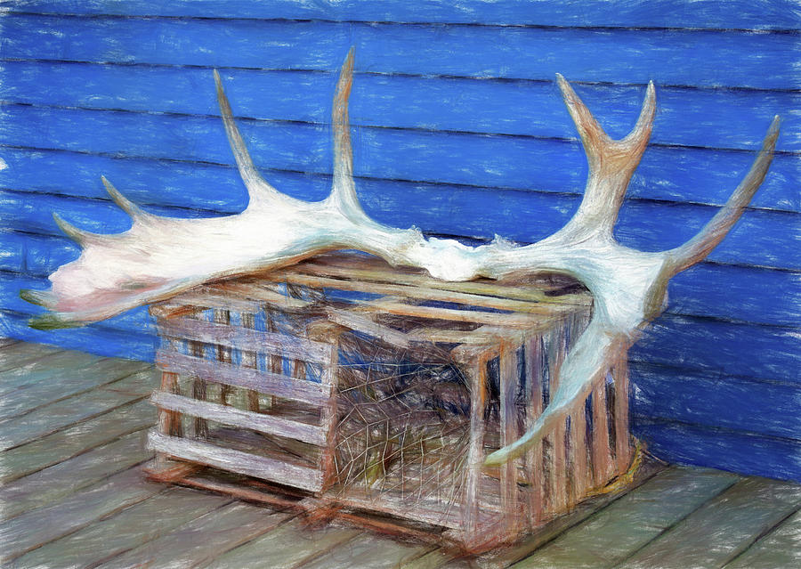 Antlers and Lobster trap Newfoundland Photograph by Tatiana Travelways