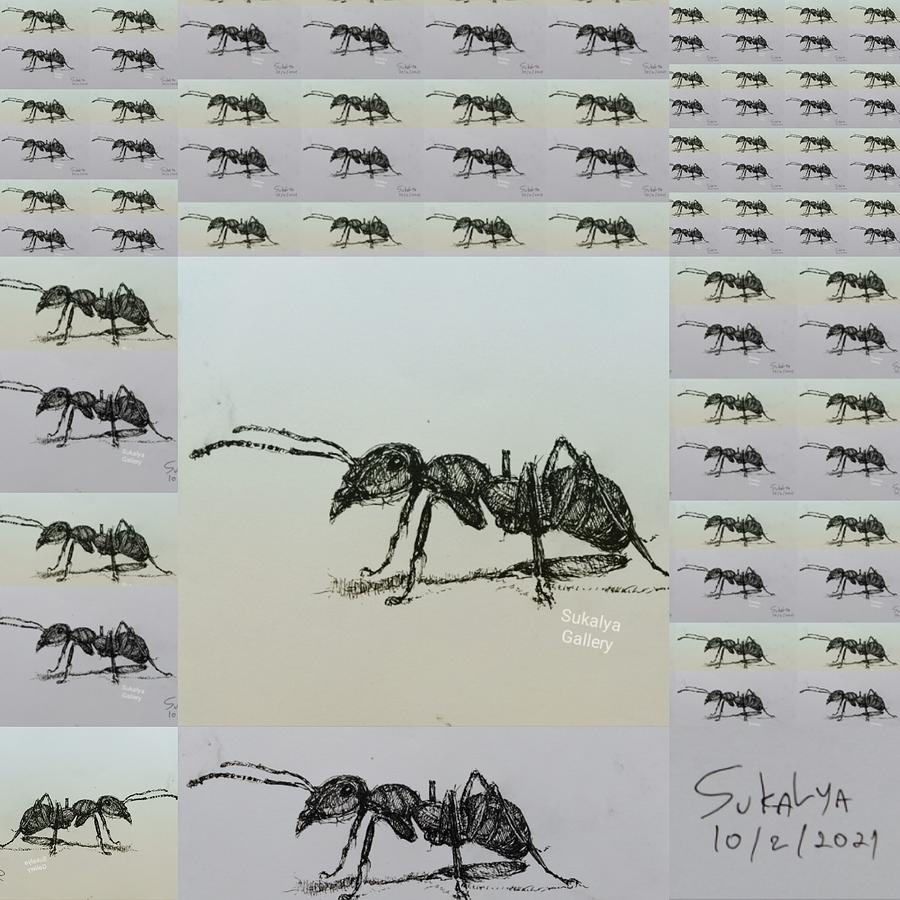 Ants Drawing by Sukalya Chearanantana
