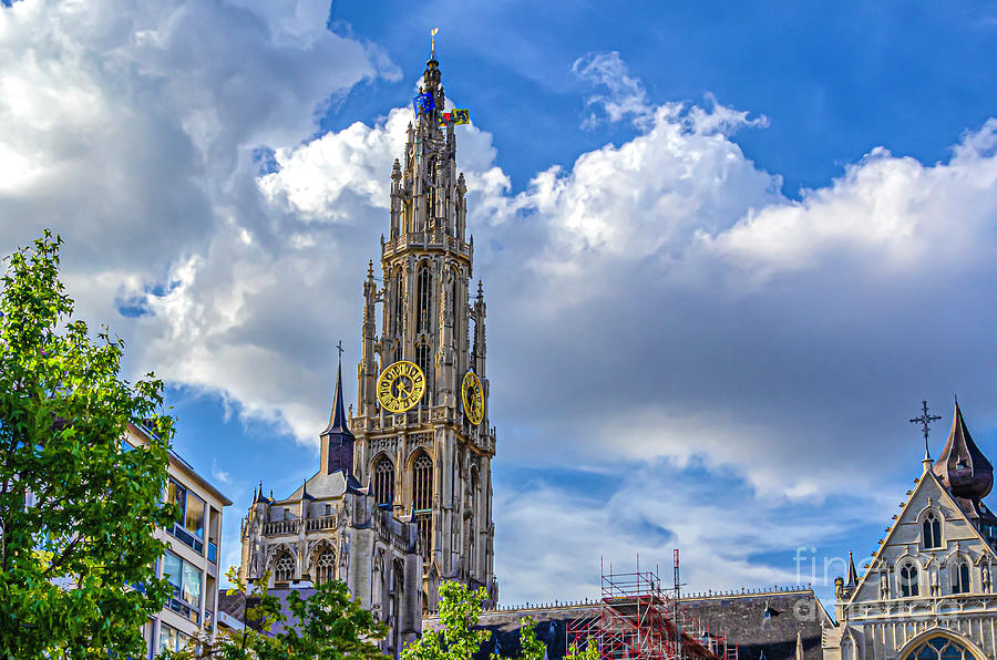 Antwerp Cathedral Photograph