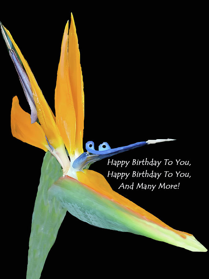 Any Many More Birthday Card Mixed Media by Sharon Williams Eng