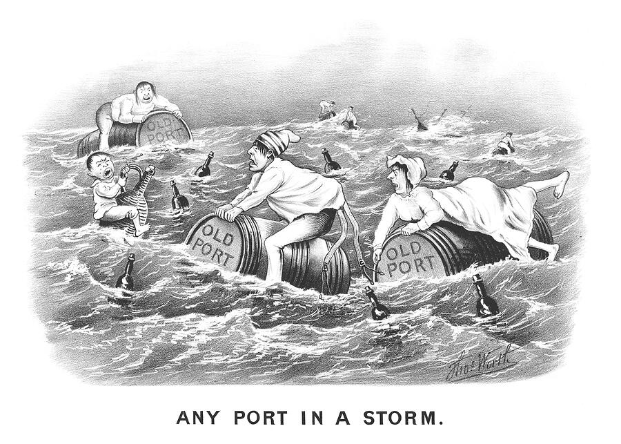 Any Port In A Storm Drawing