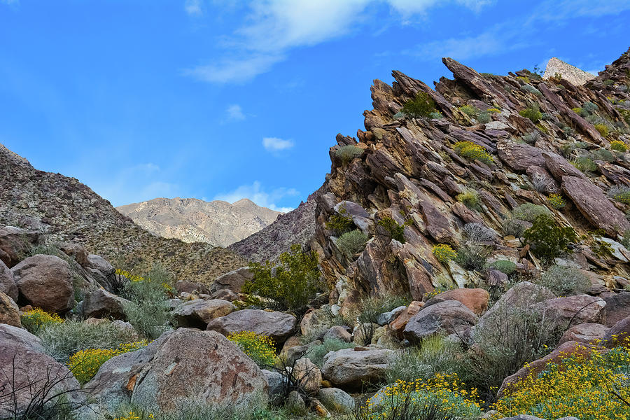 Anza Borrego Desert Canyon Photograph by Kyle Hanson