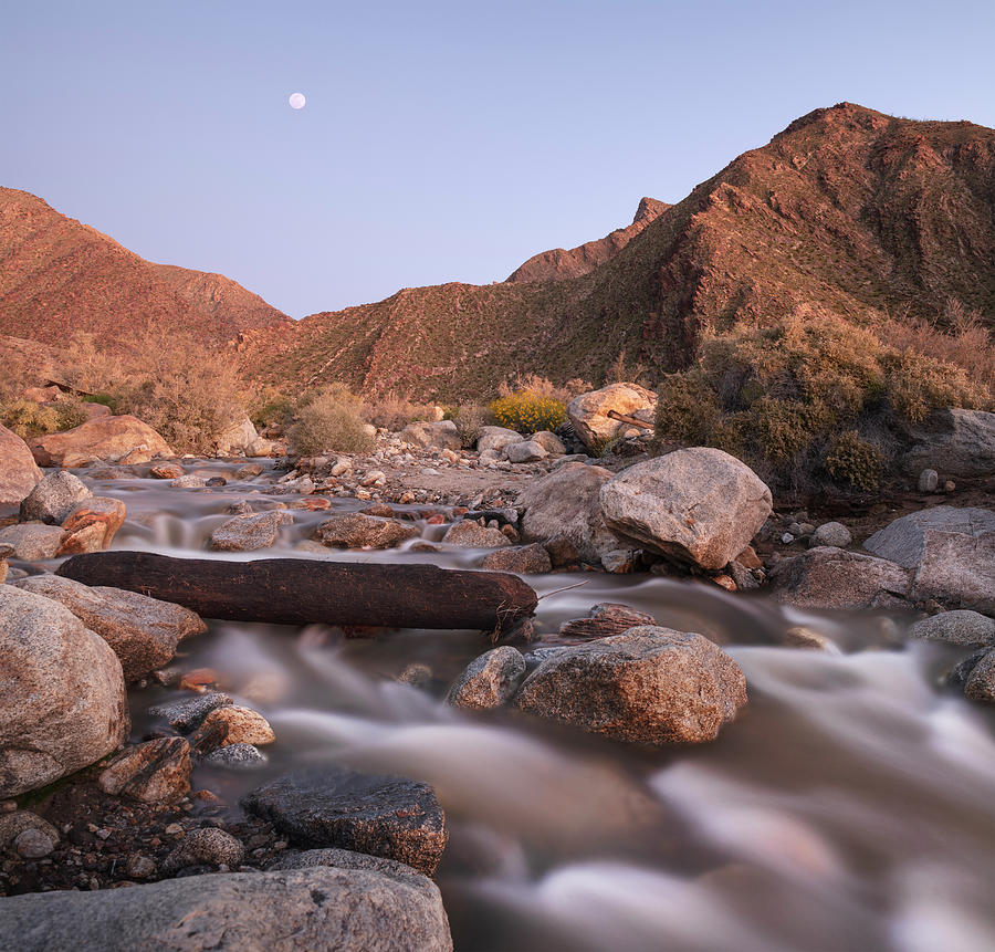 San Diego Photograph - Anza Borrego Morning Moon and River by William Dunigan
