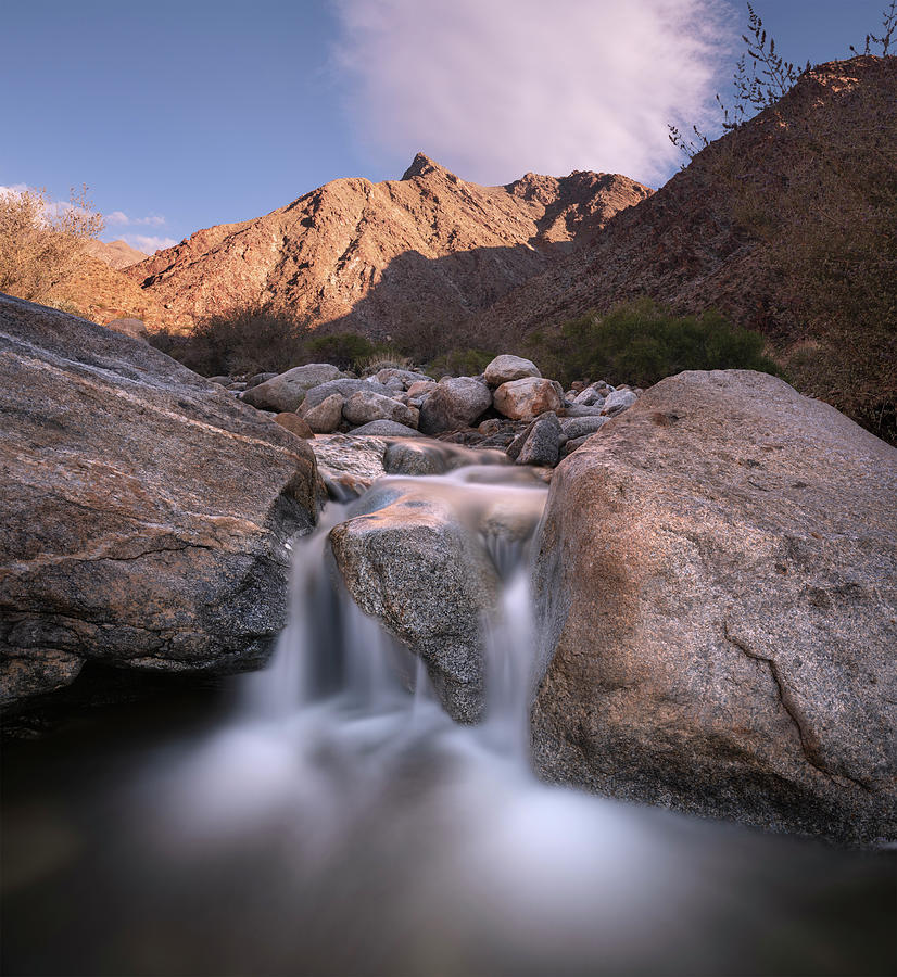 San Diego Photograph - Anza Borrego River in Palm Canyon by William Dunigan