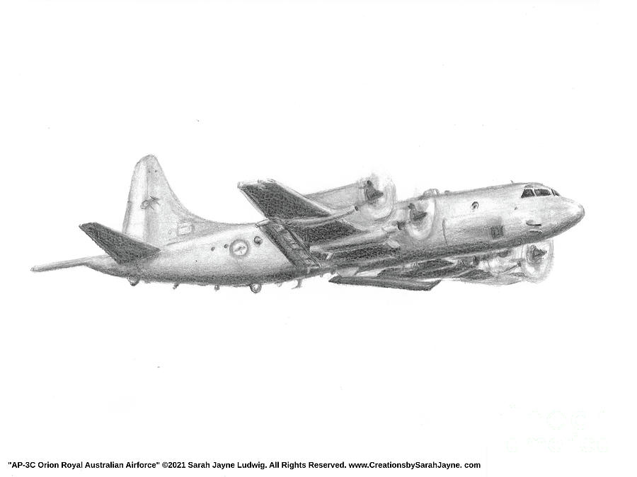Australian Drawing - AP-3C Orion Royal Australian Airforce by Sarah Howland-Ludwig