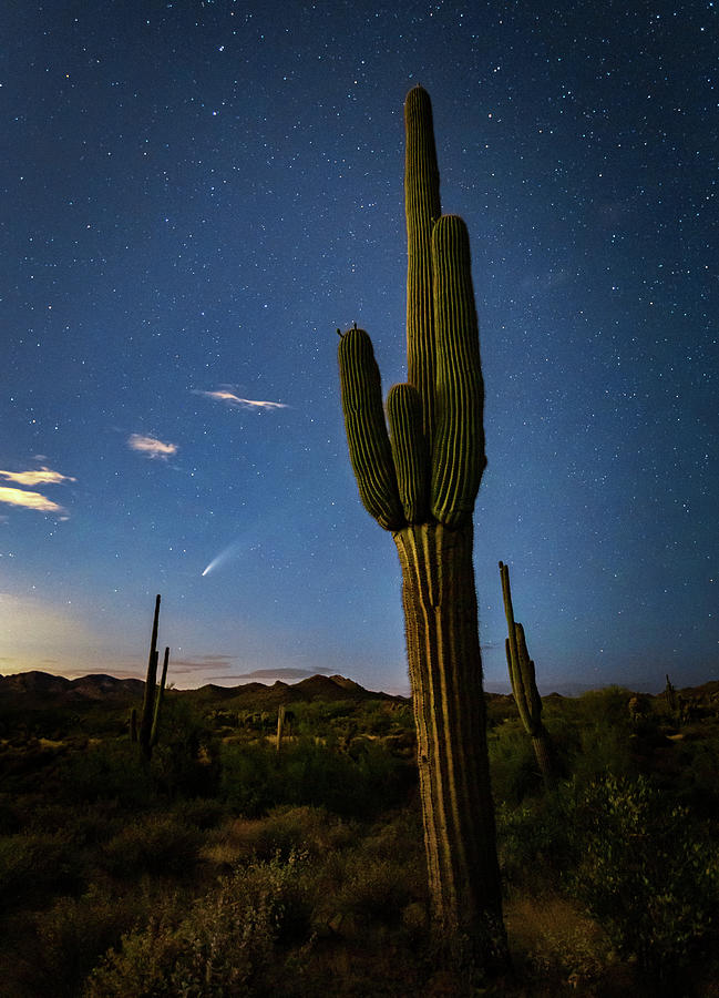 Apache Junction Photograph by Tassanee Angiolillo