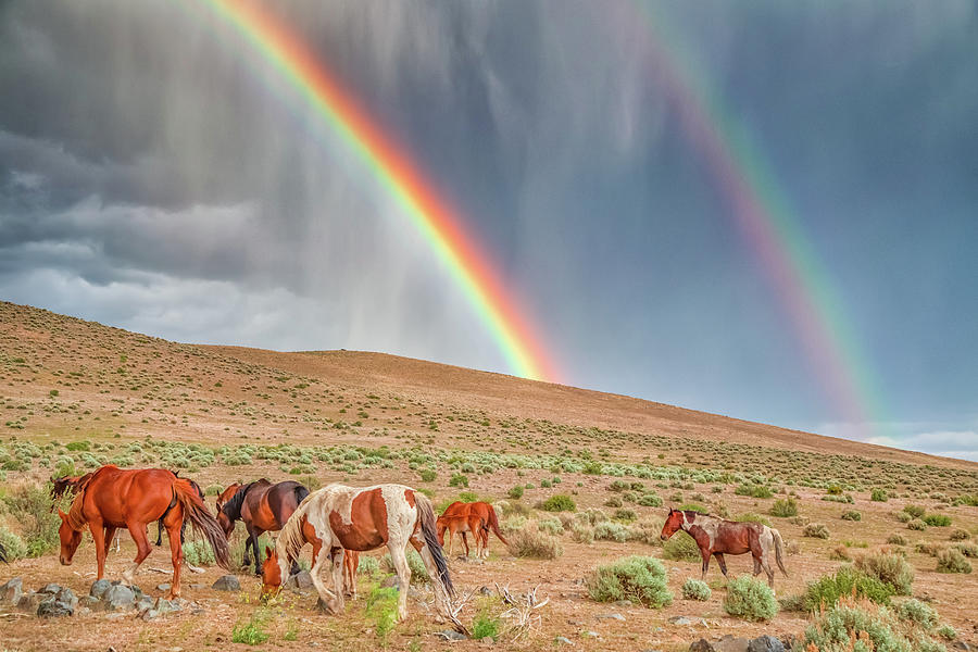 Apache Spirit and Double Rainbow Photograph by Marc Crumpler