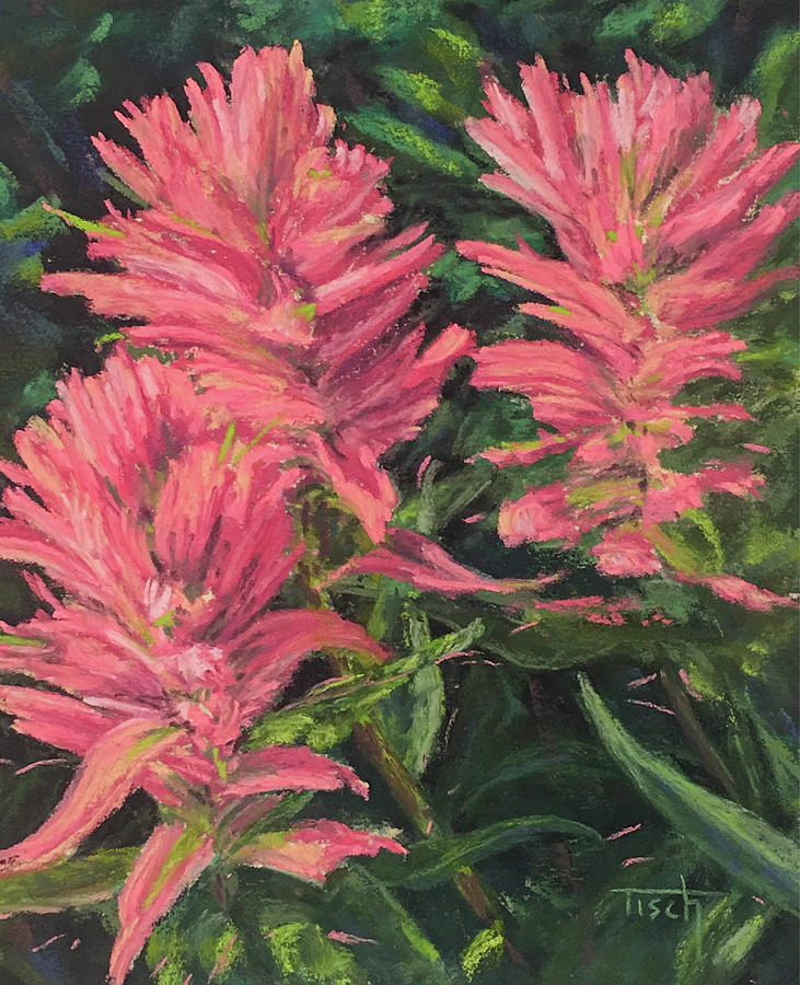 Apacuni Paintbrush Pastel by Lee Tisch Bialczak Apacuni Paintbrush Pastel by Lee Tisch Bialczak