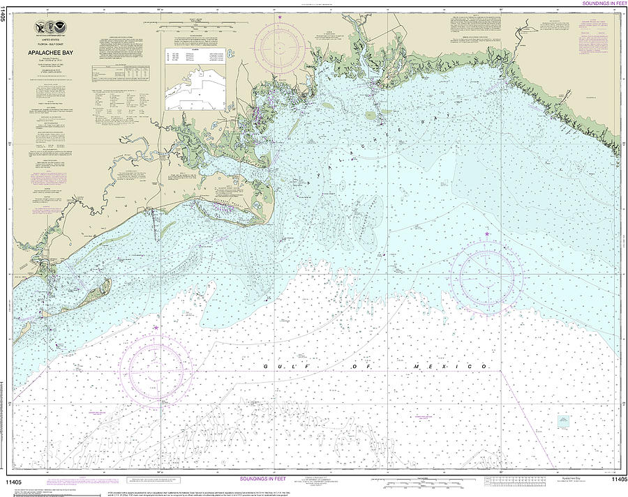 Apalachee Bay Nautical Chart 11405 Digital Art by John Gernatt - Fine ...