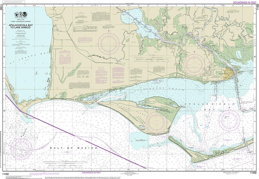 Apalachicola Bay to Lake Wimico Nautical Chart 11402 Digital Art by ...