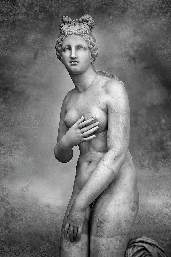 Aphrodite or Venus Roman Statue Dresden Capitoline Type  black and white wall art print Sculpture by Paul E Williams