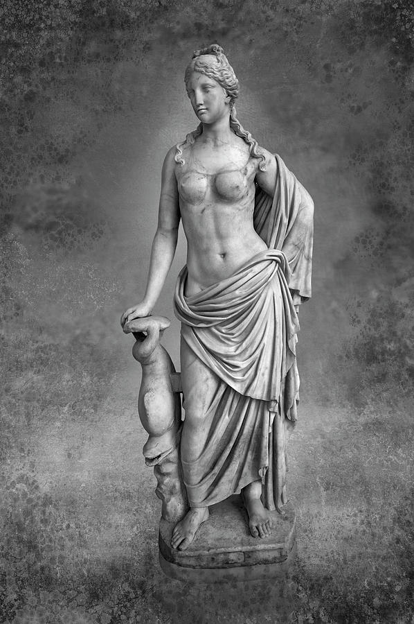 Aphrodite or Venus Roman Statue - Marine Venus - black and white wall art print  Sculpture by Paul E Williams