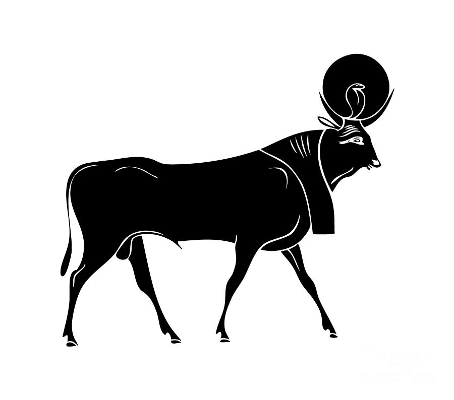 Apis - Sacred Bull Of Ancient Egypt Drawing