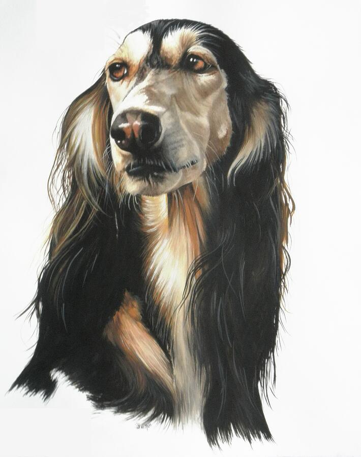 Dog Painting - Aplomb by Barbara Keith