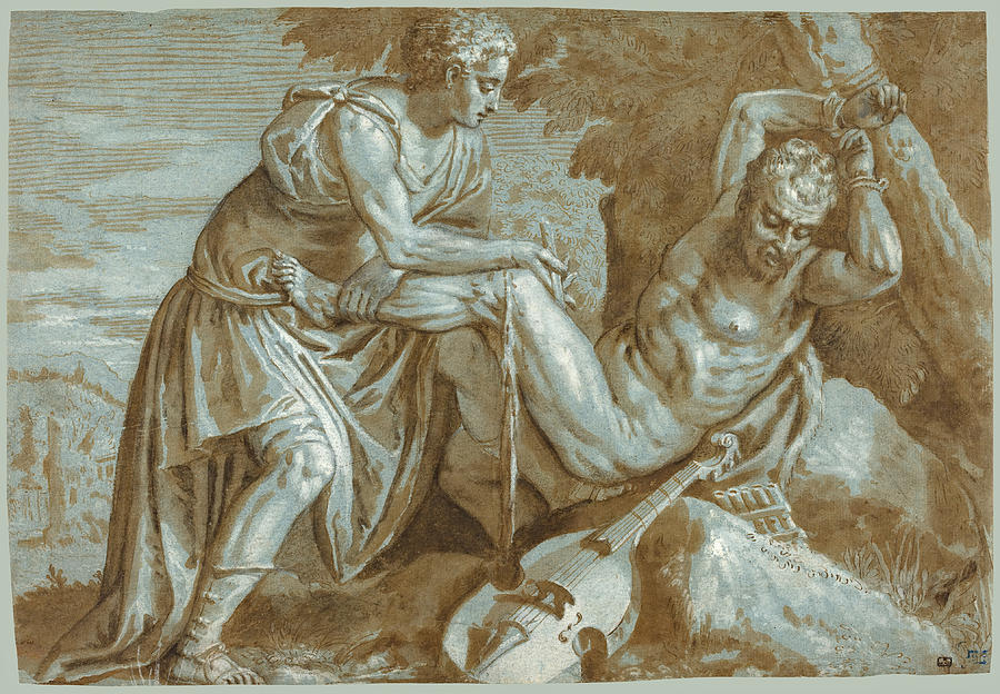 Apollo and Marsyas Drawing by Attributed to Paolo Veronese