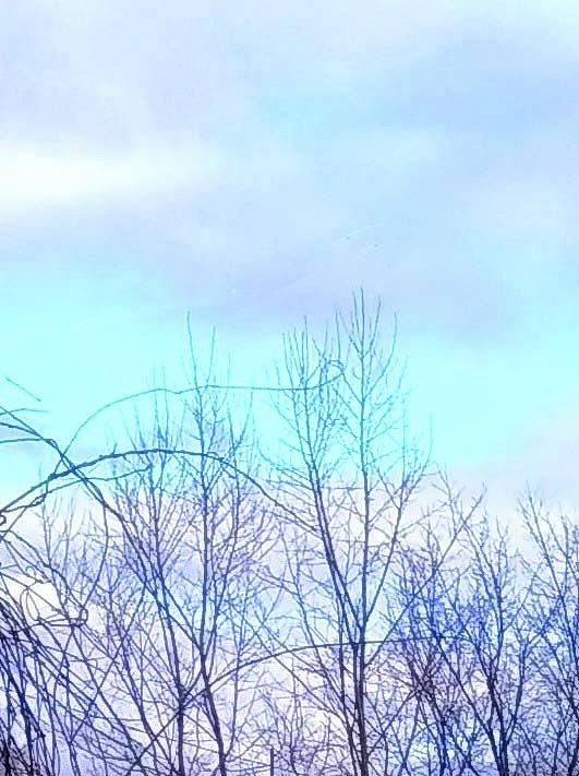 Winter Digital Art - Appalachia Blue by T Byron K