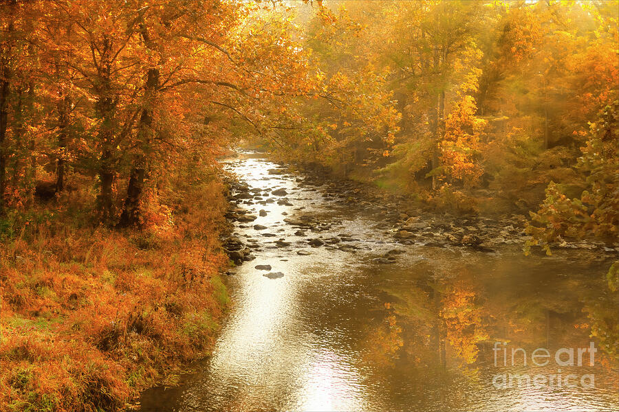 Appalachian Autumn Photograph by Shelia Hunt