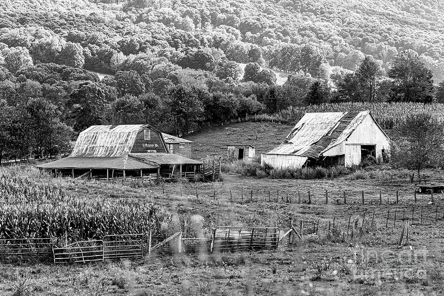 Appalachian Farm Photograph by Laurinda Bowling - Pixels