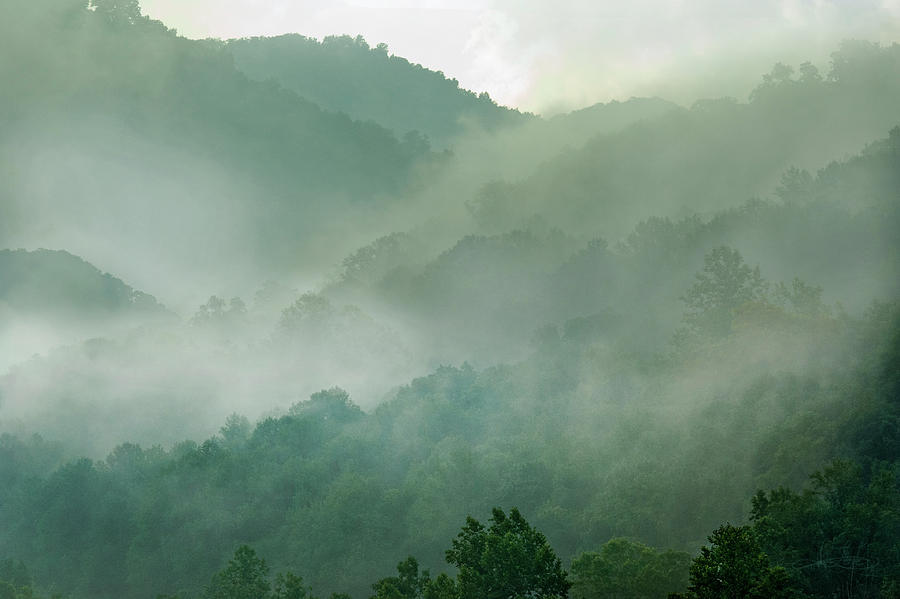 Appalachian Mist Photograph by Jill Love