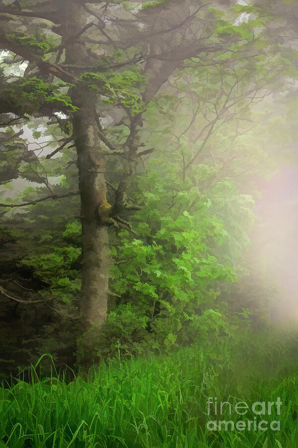 Tree Digital Art - Appalachian Mists by Shelia Hunt